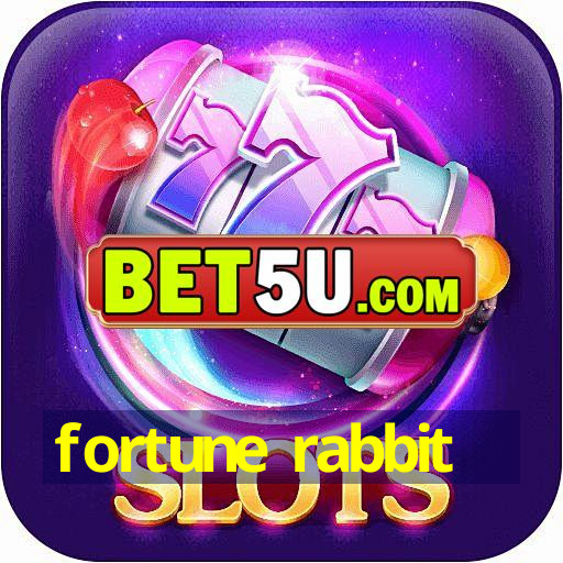 fortune rabbit